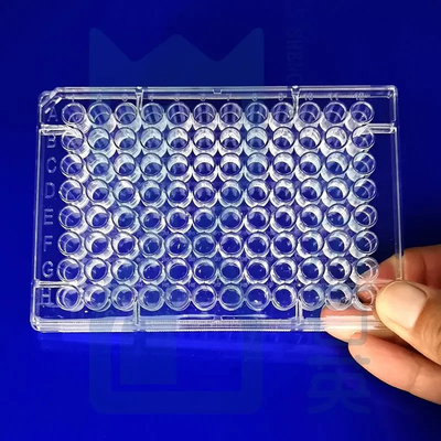 Fabbrica di fogli di quarzo trasparenti ultra sottili e resistenti alle alte temperature